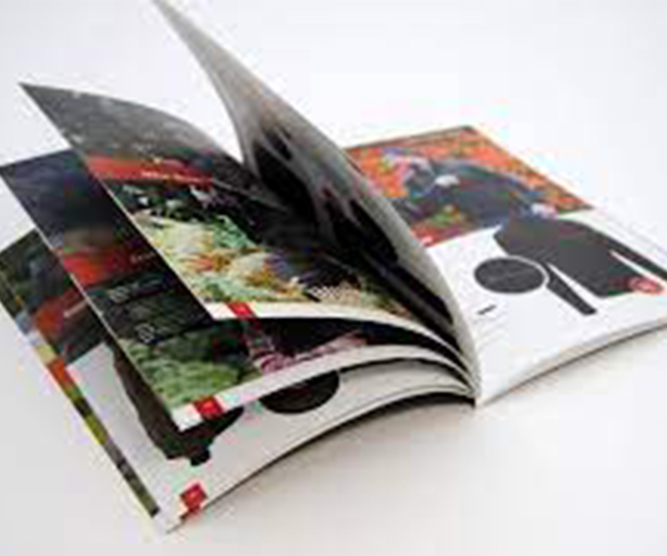In catalogue, tờ rơi, brochure,..